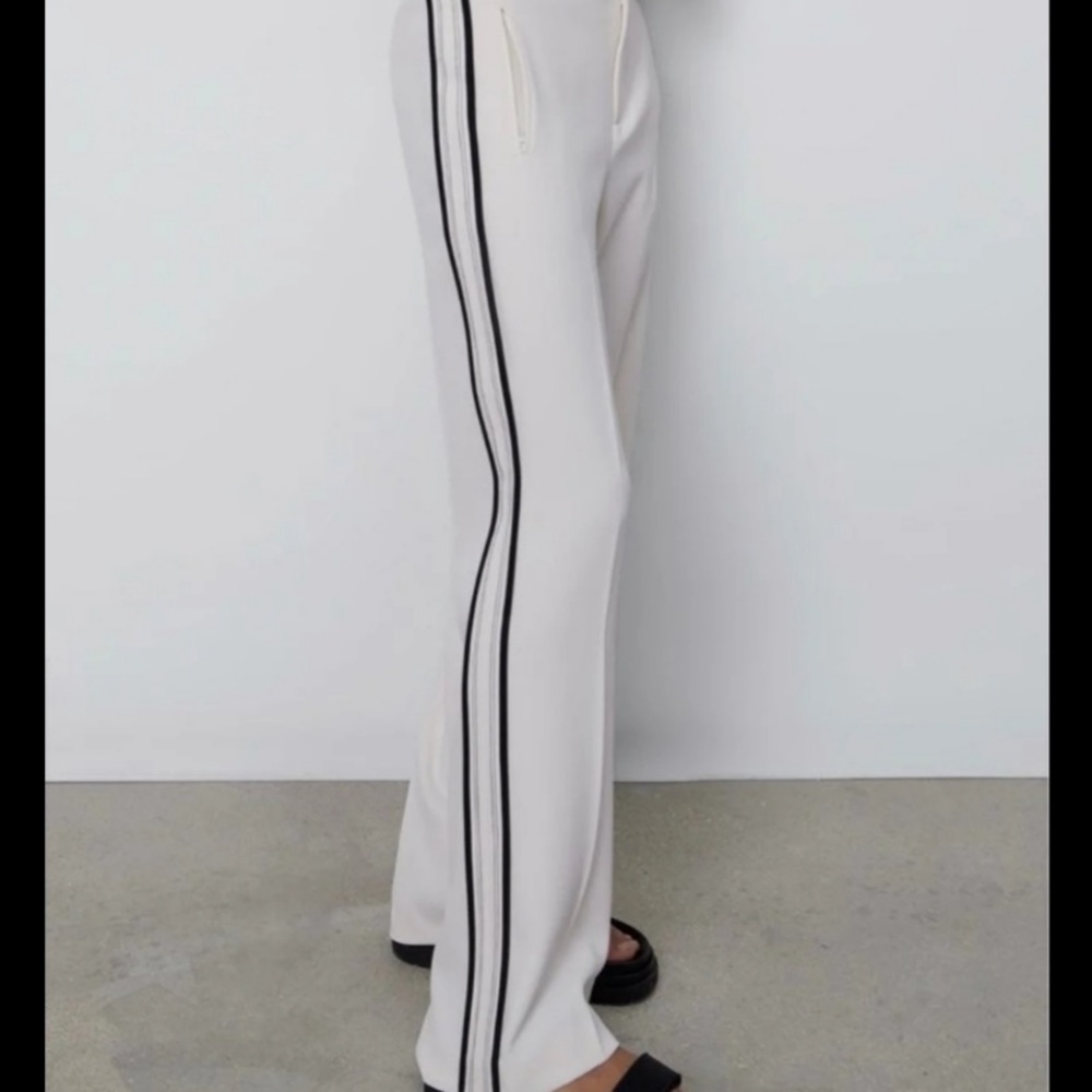 Zara Highwaisted Pants